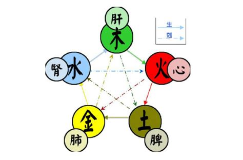 中五行|五行（对万事万物的取象比类）